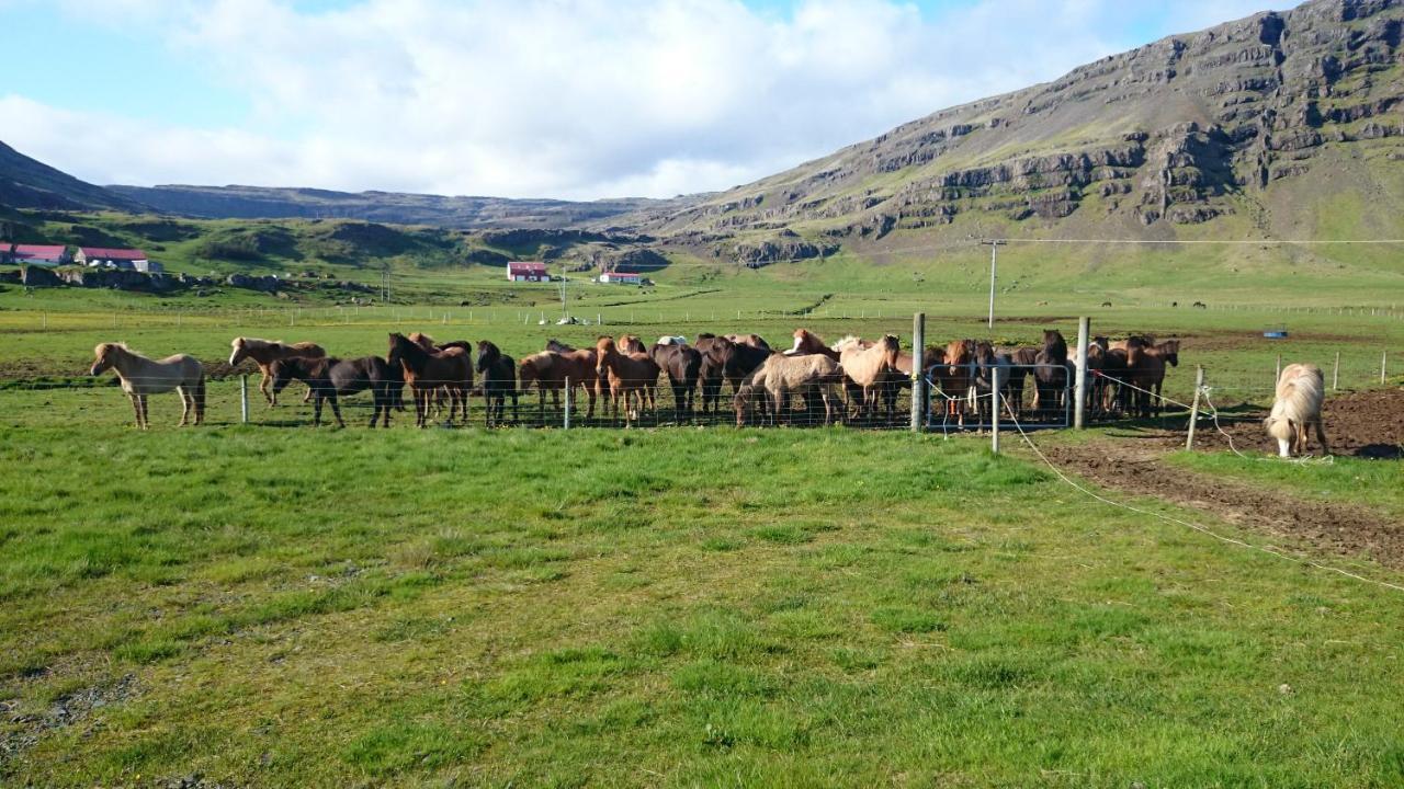 Borgarhöfn Laekjarhus Farm Holidays מראה חיצוני תמונה