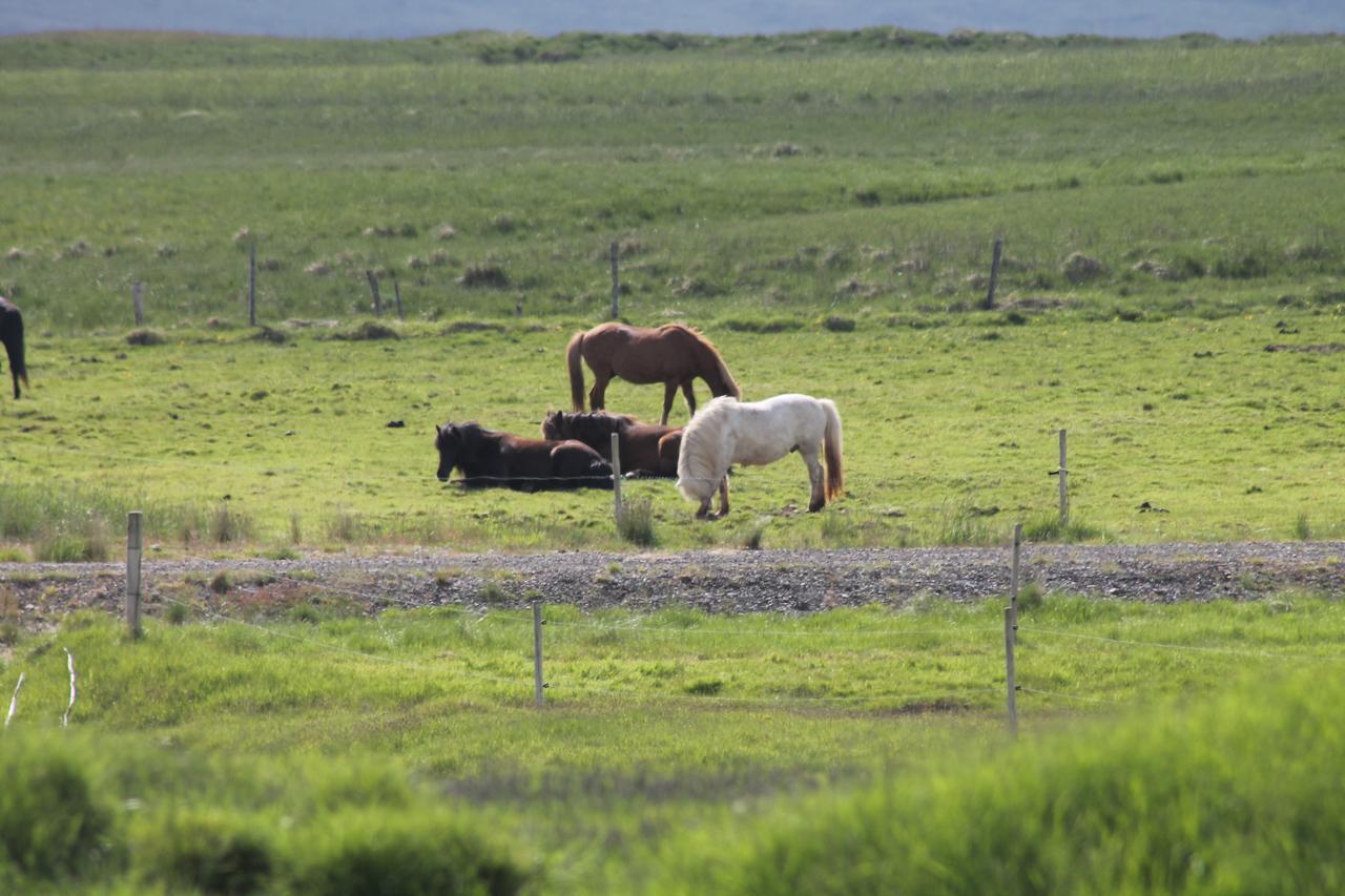 Borgarhöfn Laekjarhus Farm Holidays מראה חיצוני תמונה